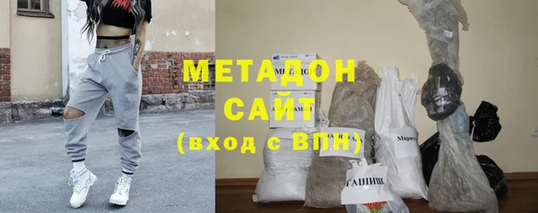 прущие грибы Дмитриев