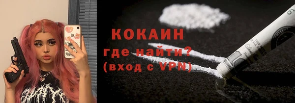 прущие грибы Дмитриев