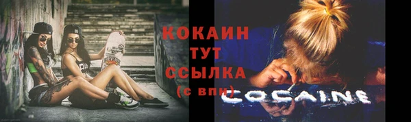 прущие грибы Дмитриев