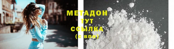 прущие грибы Дмитриев