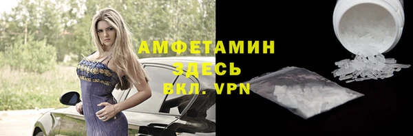 прущие грибы Дмитриев