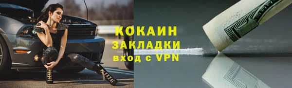 прущие грибы Дмитриев