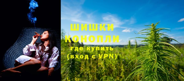 прущие грибы Дмитриев