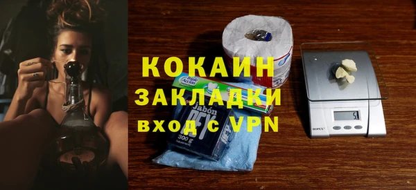 прущие грибы Дмитриев