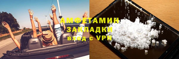 прущие грибы Дмитриев