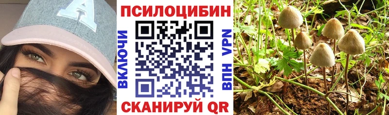 Псилоцибиновые грибы Psilocybe  Новоуральск 